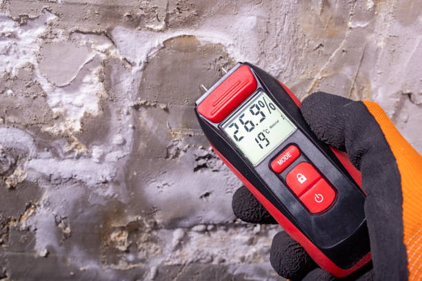 Best Post-Flood Mold Remediation in Maud, TX