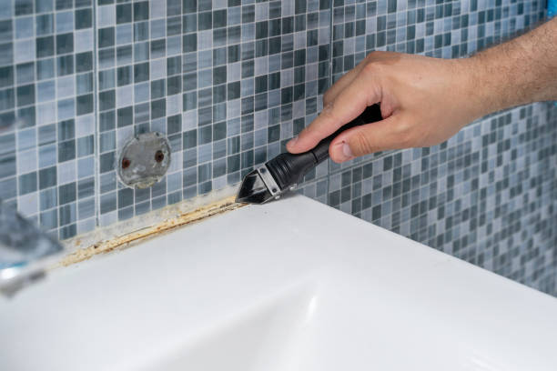 Best Insurance-Related Mold Remediation in Maud, TX