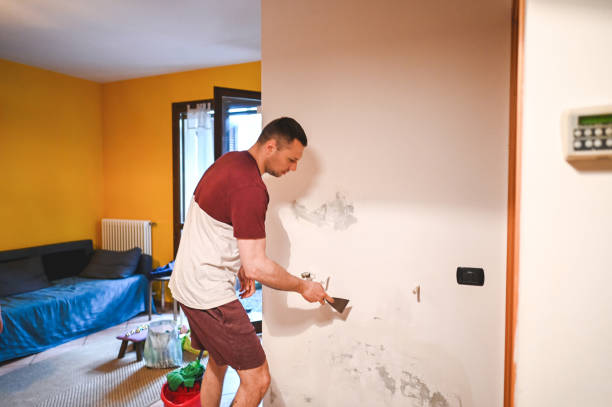 Best Post-Remediation Services in Maud, TX